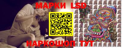 дмт Будённовск