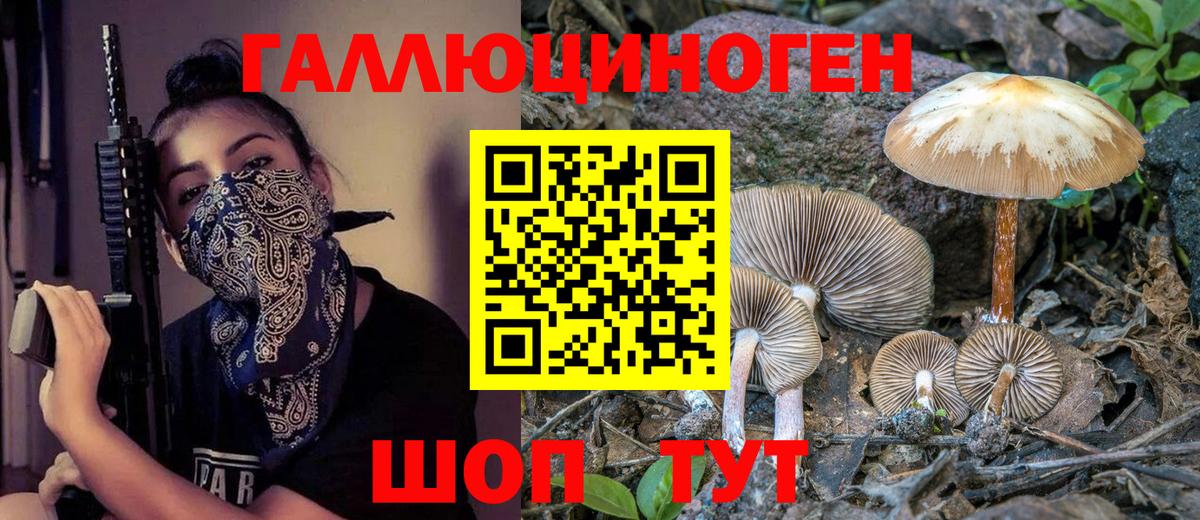 Псилоцибиновые грибы мухоморы  даркнет сайт  Мценск  Вход с VPN 