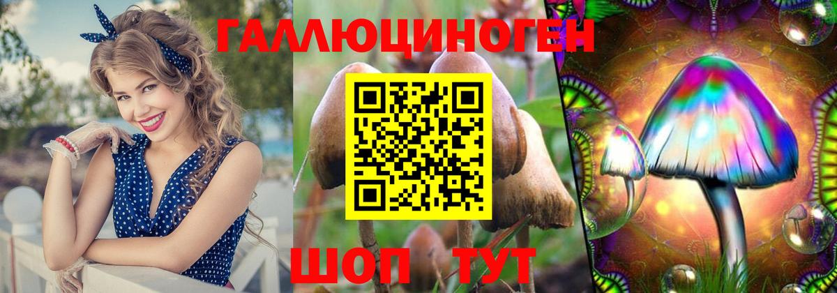 Псилоцибиновые грибы MAGIC MUSHROOMS Мценск